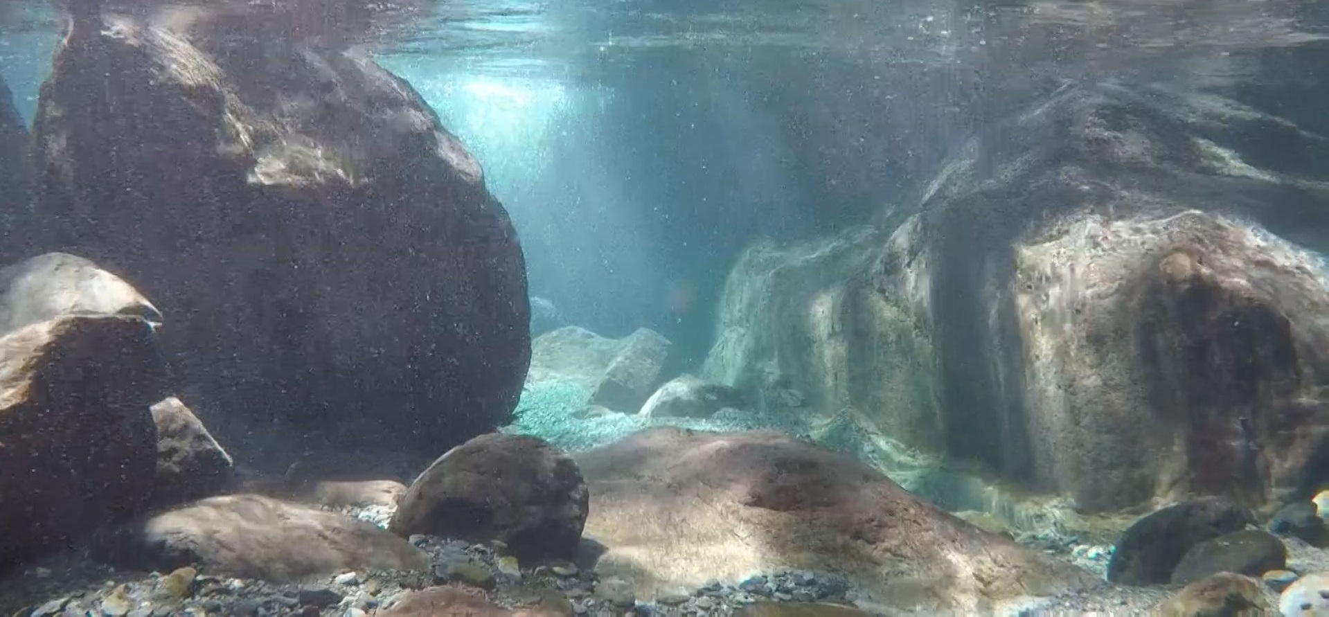 川写真1