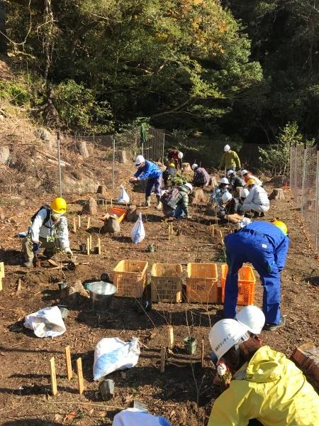 植樹写真02