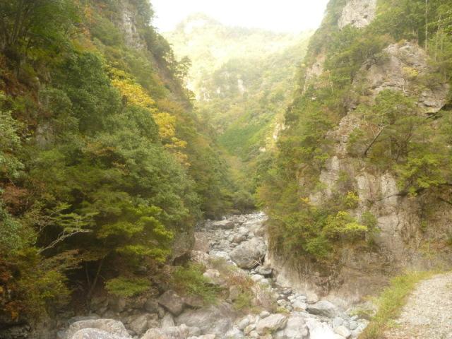大熊谷水源林