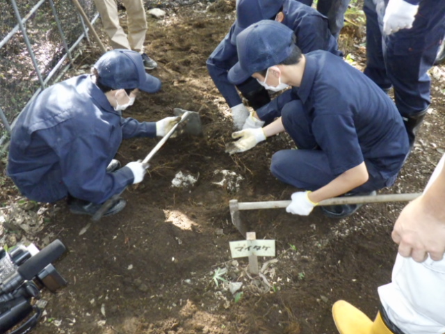 埋設作業
