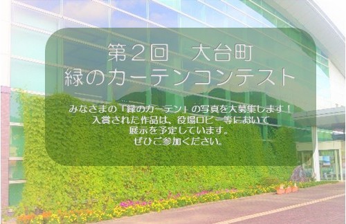 緑のカーテンコンテスト